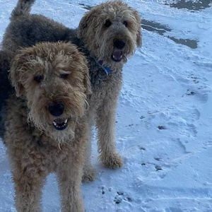 Meet your Posher, Becky novak